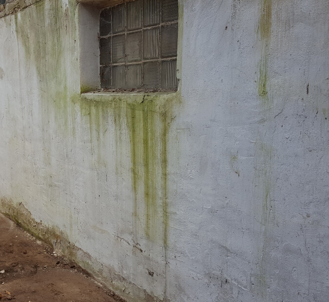 Exterior wall with moisture stains, moss, and a small window