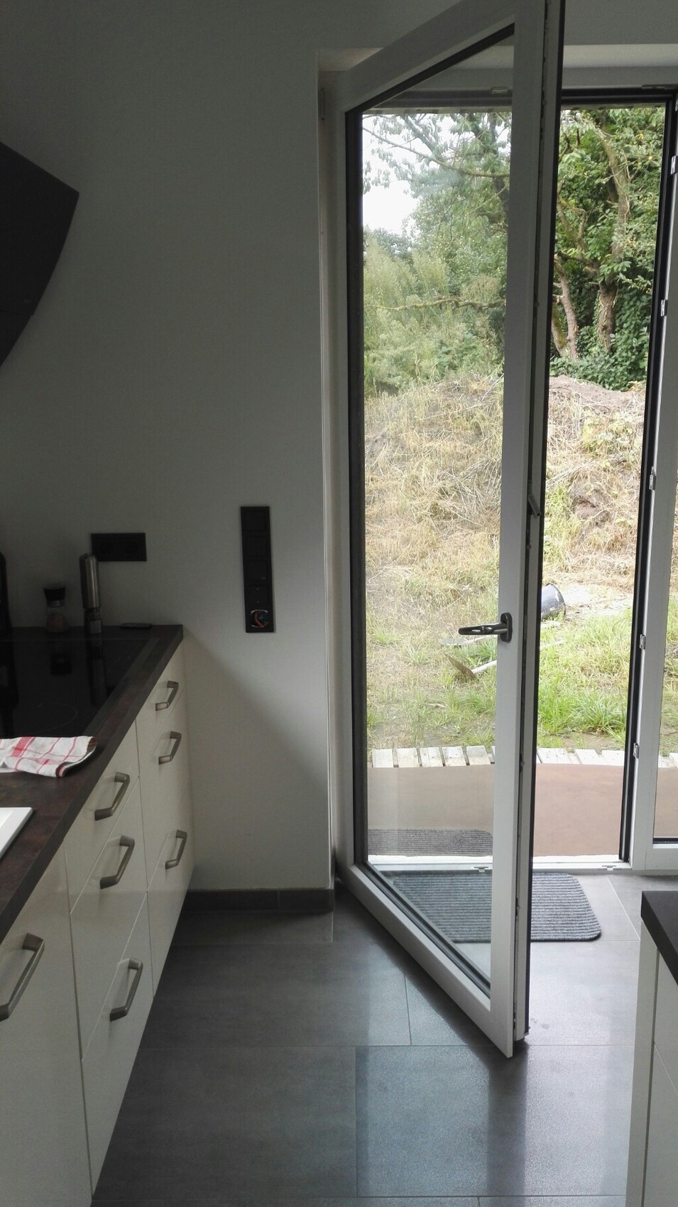 Modern kitchen with white cabinets on the left; glass door opens out to the garden.