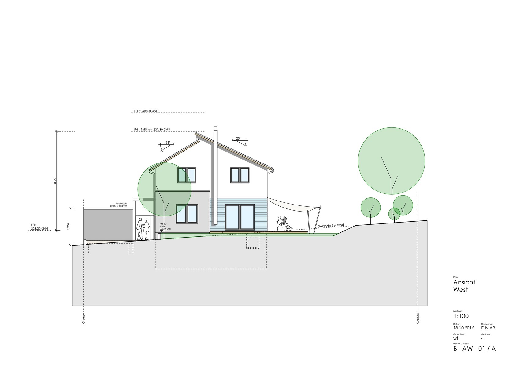 Two-story house with pitched roof, terrace, group of trees on a slope – west view.