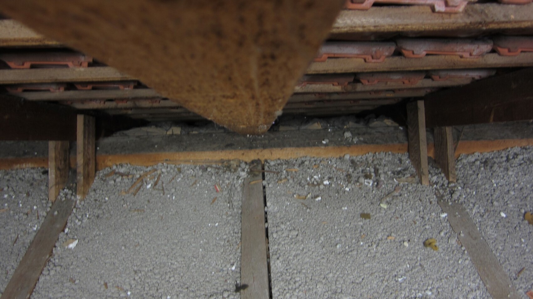 Unterdachkonstruktion mit Holzbalken und Ziegel-Dachziegeln sichtbar