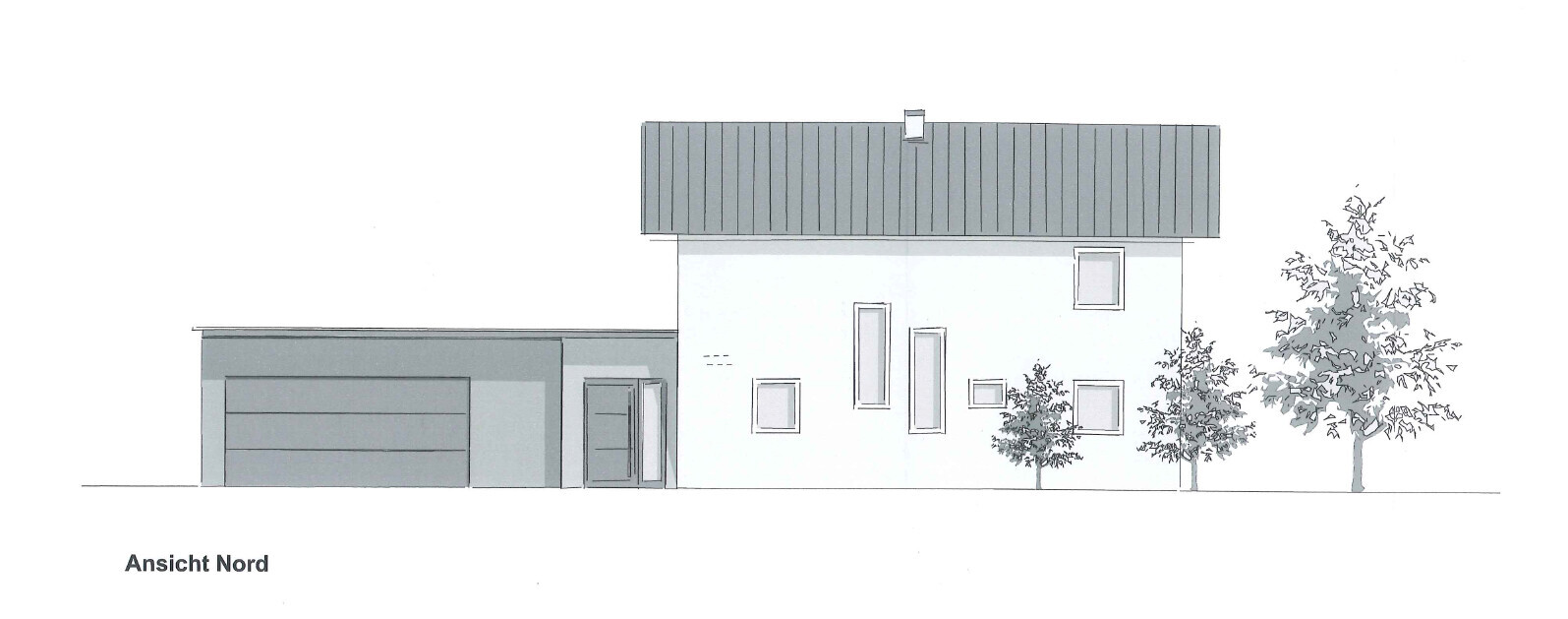 North elevation of a modern house with garage and trees