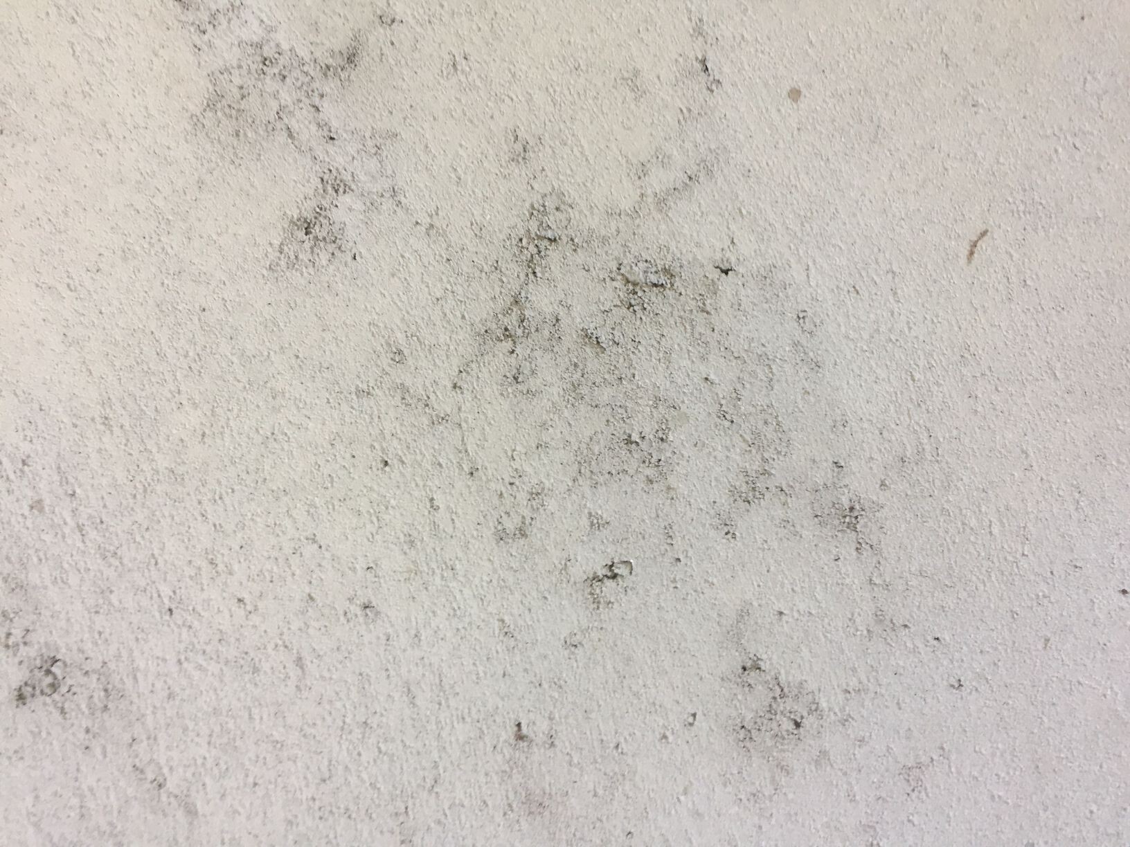 White plaster wall with dark damp and mold spots