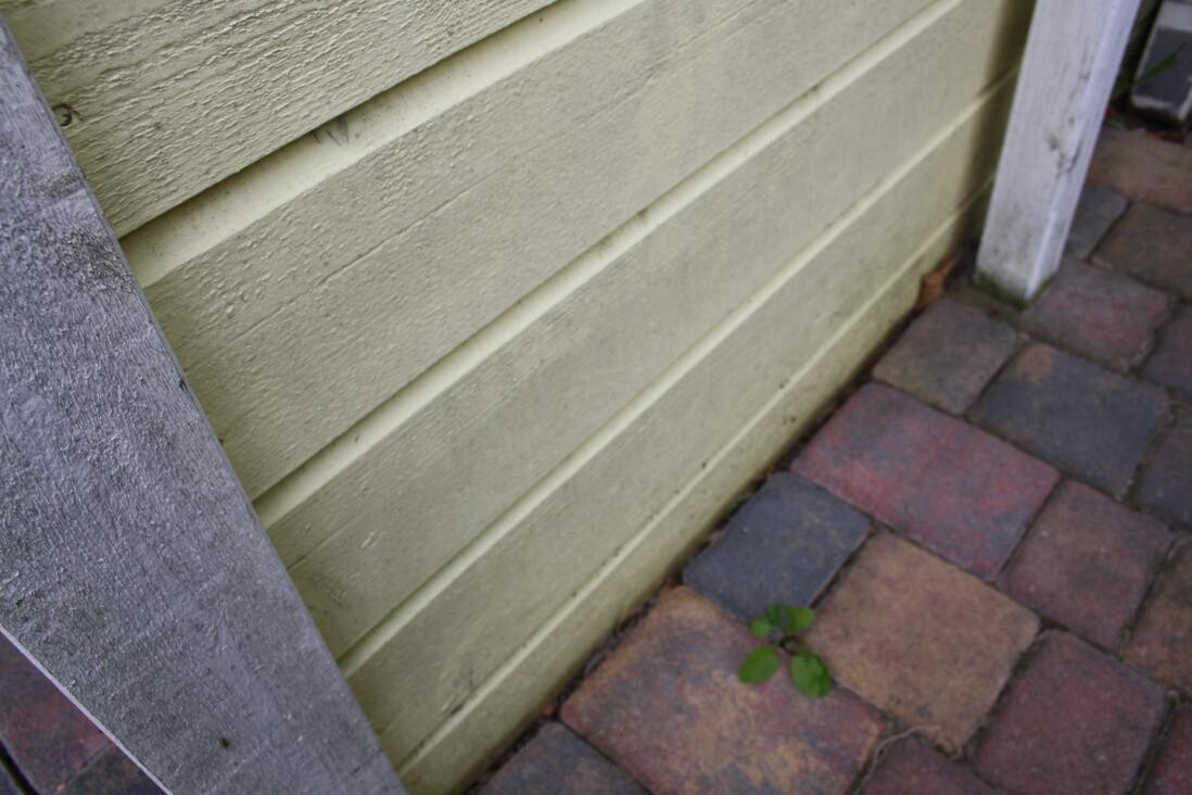 Exterior wall with light green wooden cladding next to paved walkway