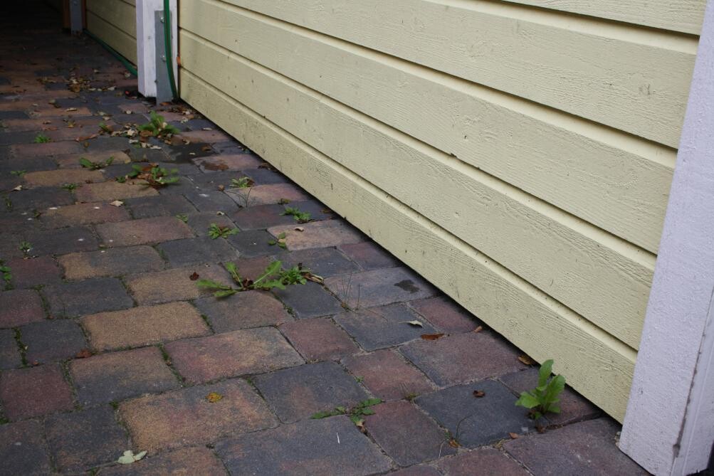 Exterior view of a yellow wooden house with paved forecourt and weeds.