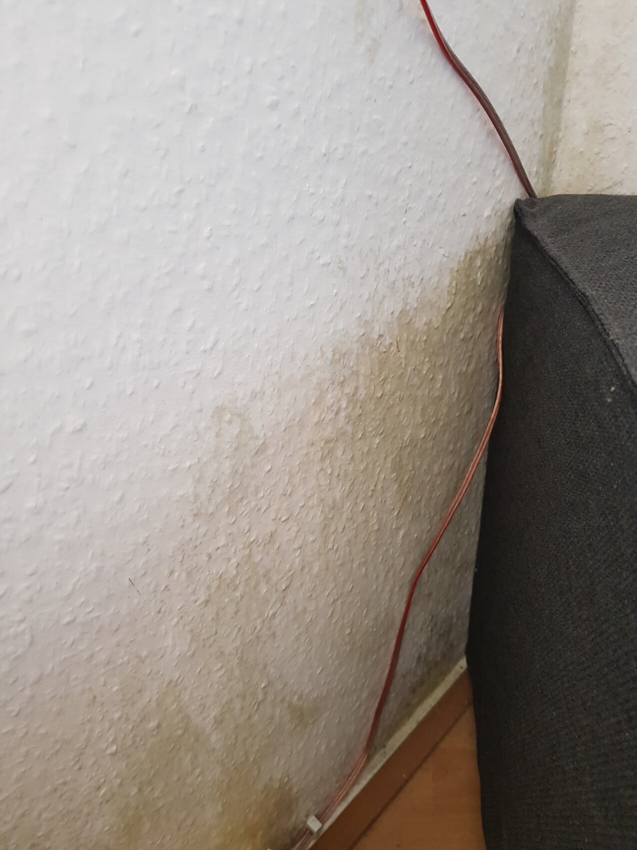 Moisture damage on a wall in the living room with damp spots next to a couch.