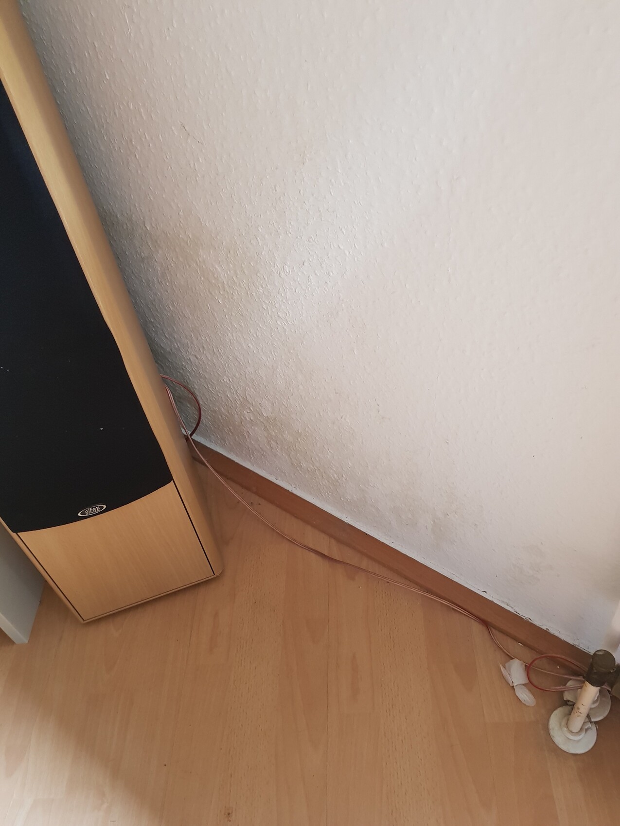 Floor-standing speaker on the floor next to cables along the wall in the living room