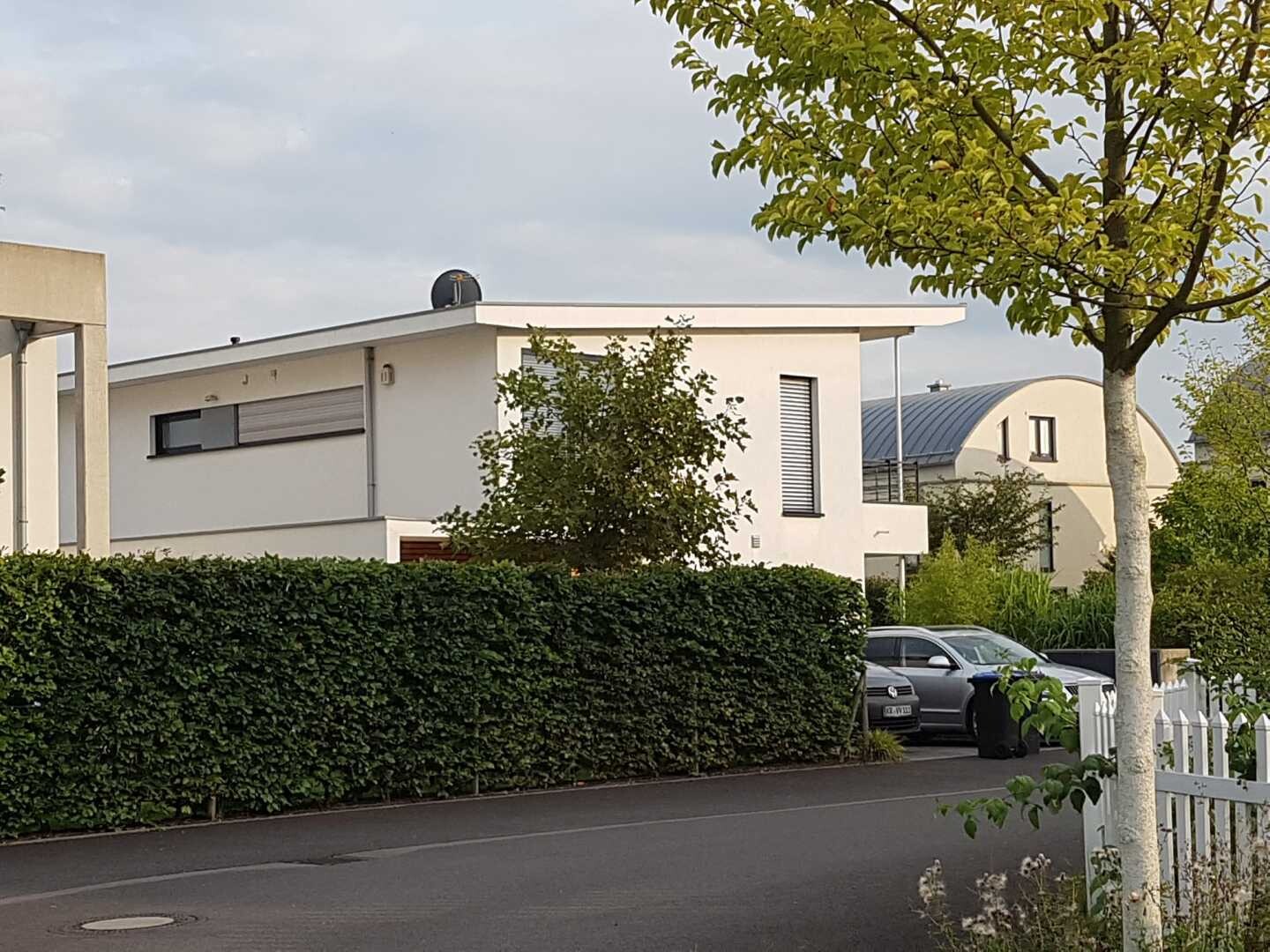 Modern white residential buildings with flat roofs behind a dense hedge; parked car at street edge, tree on the right