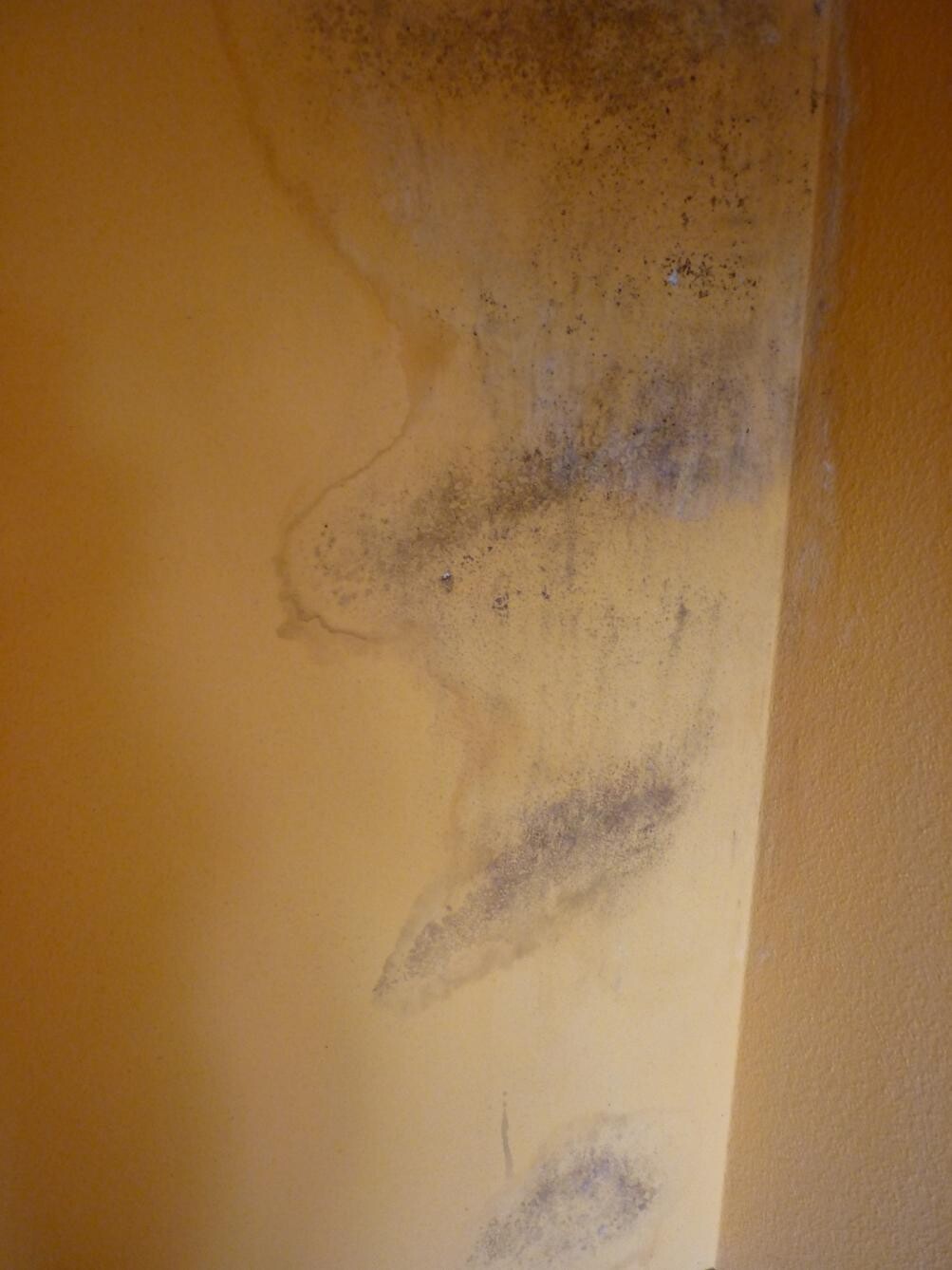 Yellow wall with water and mold stains in a corner.