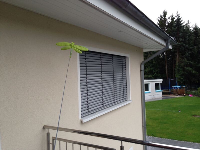 Exterior wall of a house with window and blinds; green plant on a string on the railing; garden