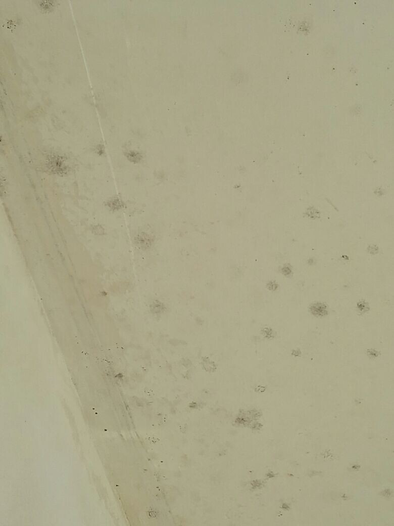 Light beige concrete wall with dark spots and surface irregularities