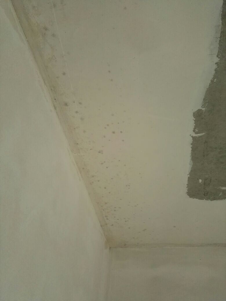 Damp spots on ceiling and wall in a corner, possible construction defect