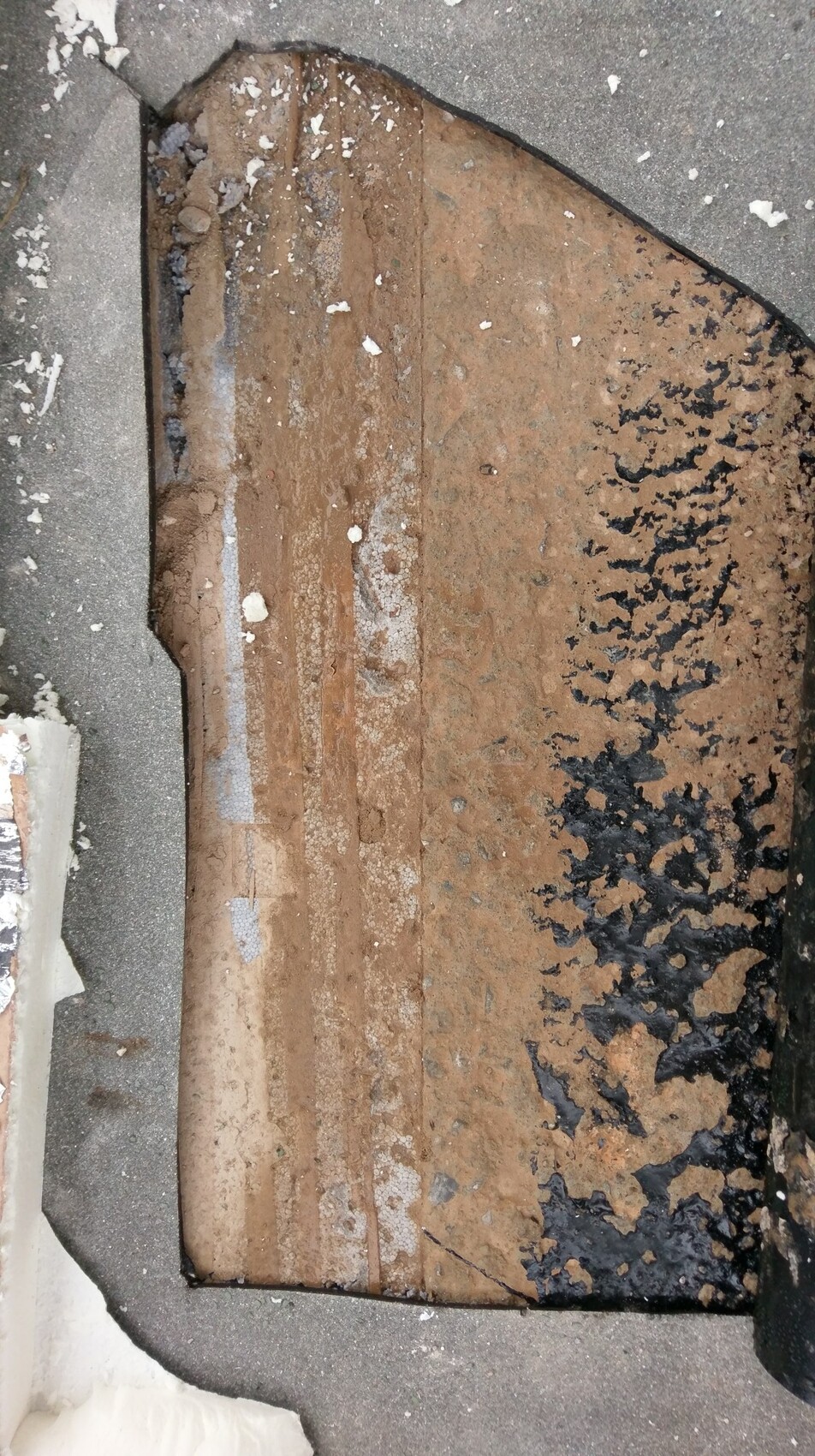 Verrotten Holz in einer Bauöffnung mit Feuchtigkeitsspuren und schwarzem Schimmel.