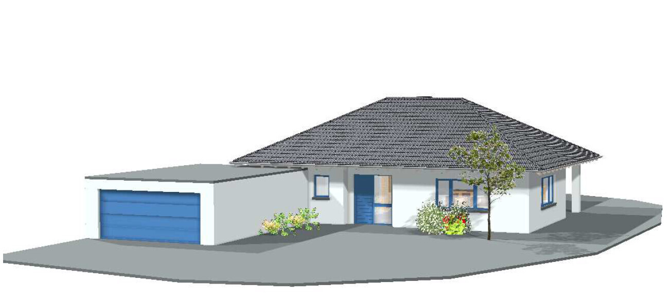 3D rendering of a single-family house with garage, front door, windows, tree, and plants