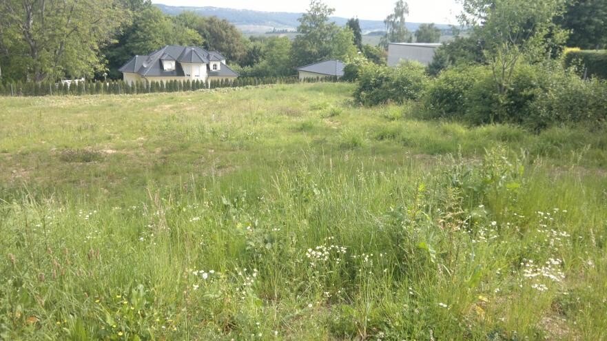 Green undeveloped building plot with wildflowers and houses in the background.