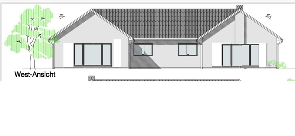 West-Ansicht eines modernen Einfamilienhauses mit großen Glasfronten, Baum links.