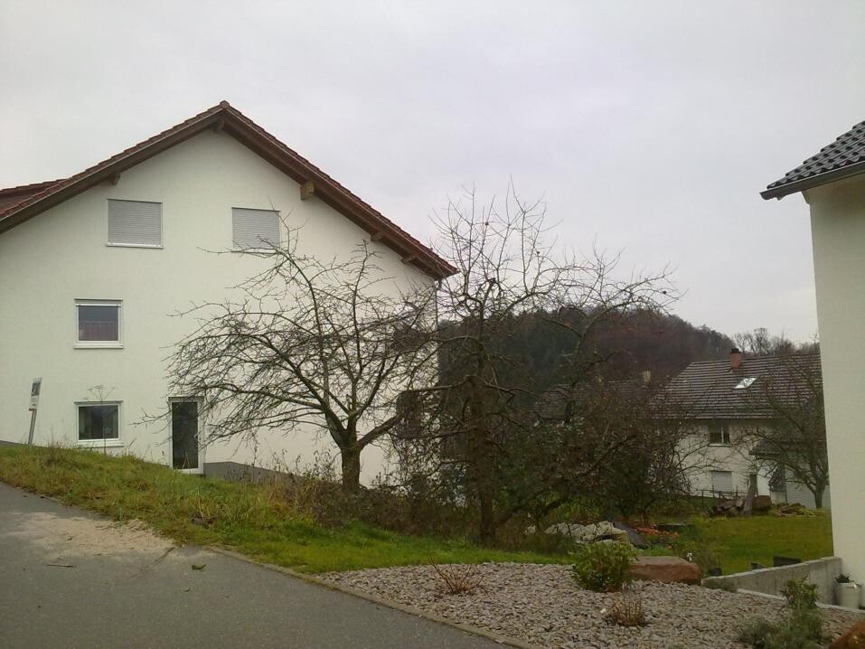 Exterior view of a white residential house with tree in the front yard and neighboring houses.