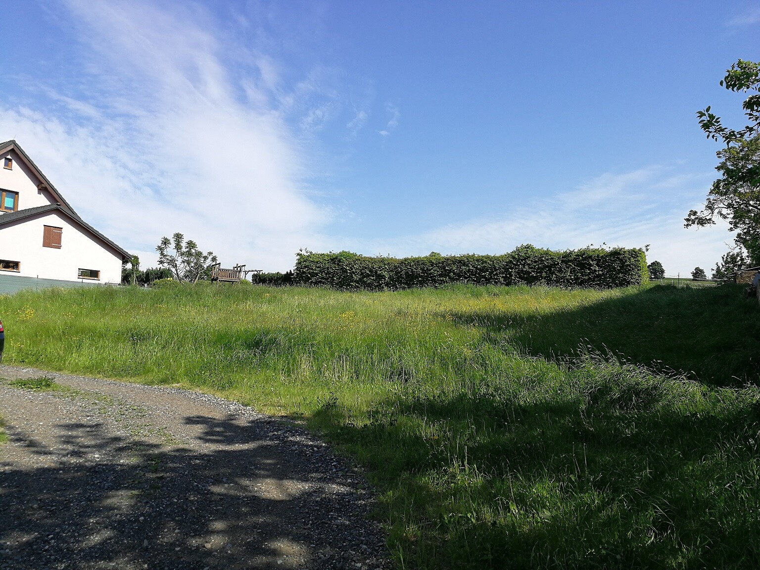 Grünes Gartenland mit Haus links, grasige Fläche, Hecke im Hintergrund, blauer Himmel