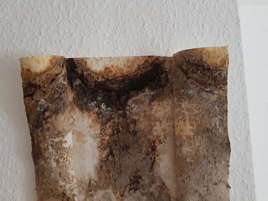 Burnt paper with dark discoloration on white wall, signs of building defects