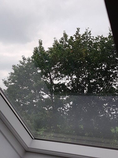 View through the roof window of treetops against a gray sky.