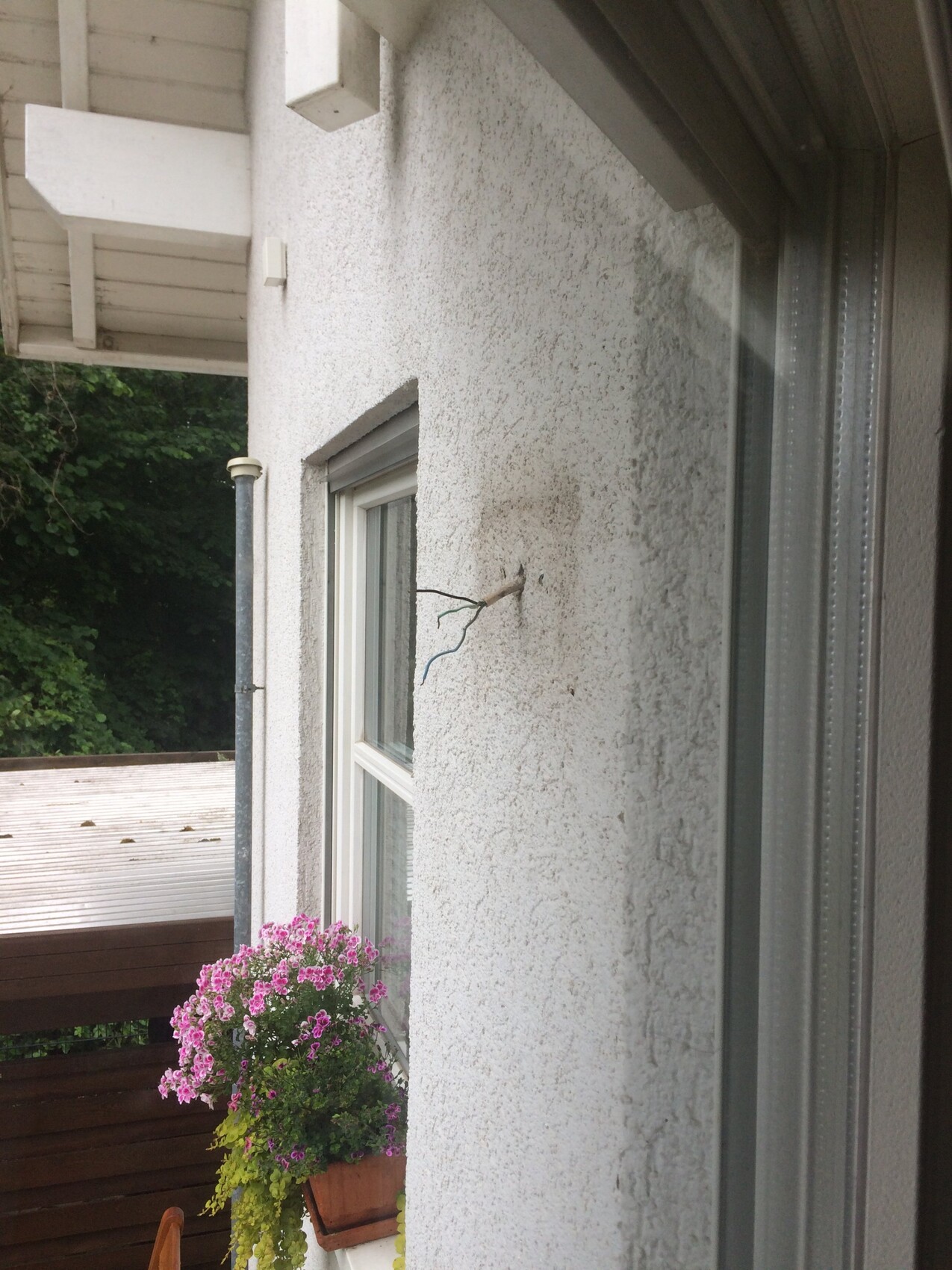 White facade with window, balcony and pink flowerpot