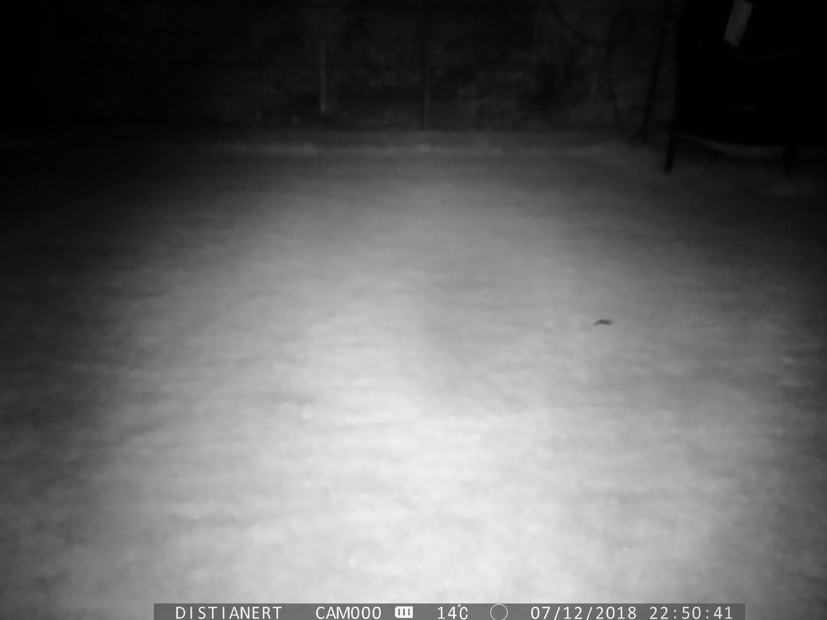 Night shot of a snow-covered garden/courtyard at night with dark background
