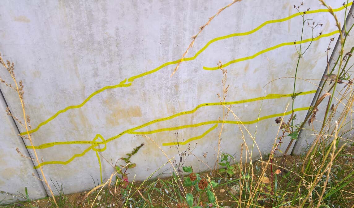 Concrete wall with yellow marking lines and weeds in the foreground.