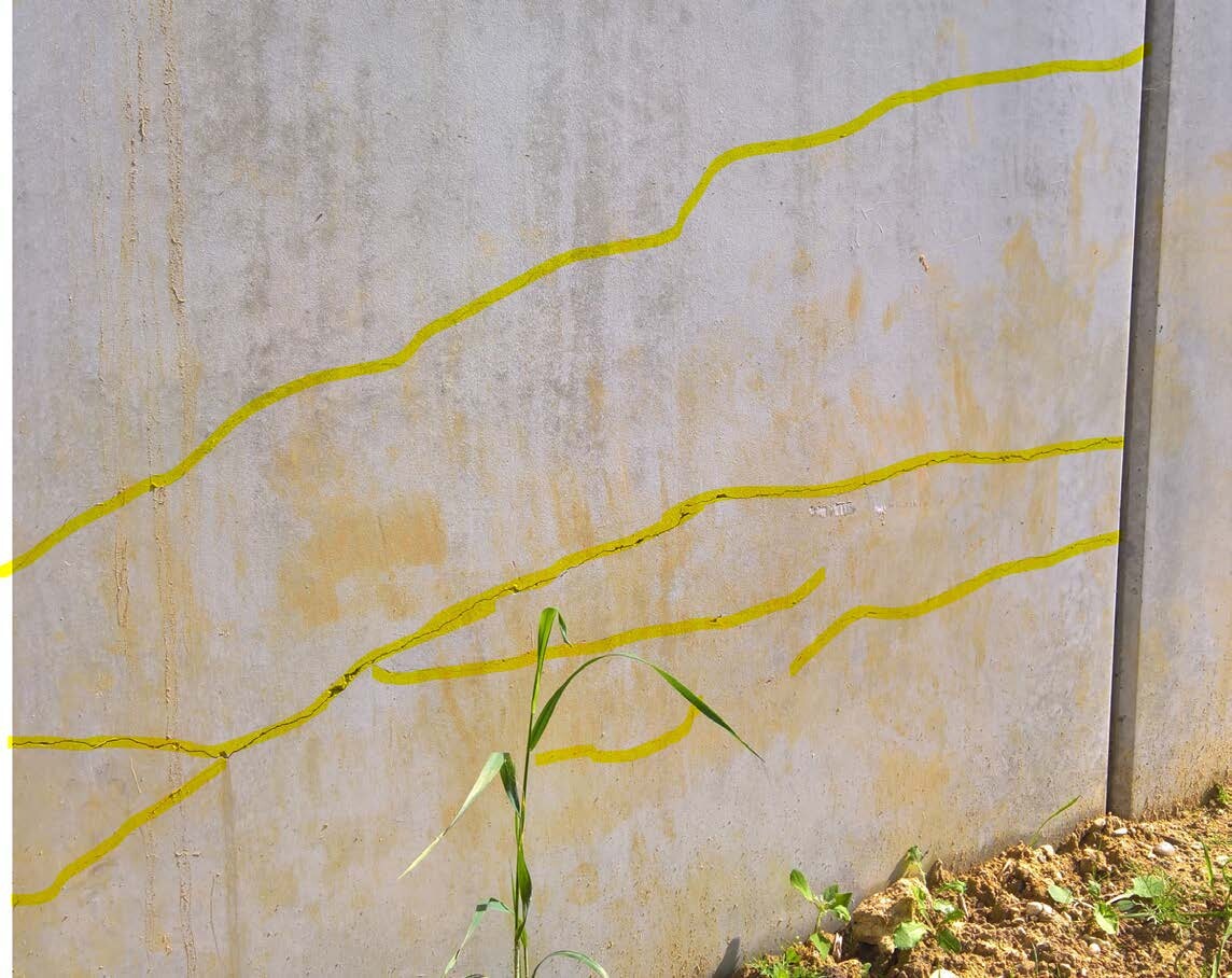 Concrete wall with yellow marking lines, construction site in the foreground, green plant