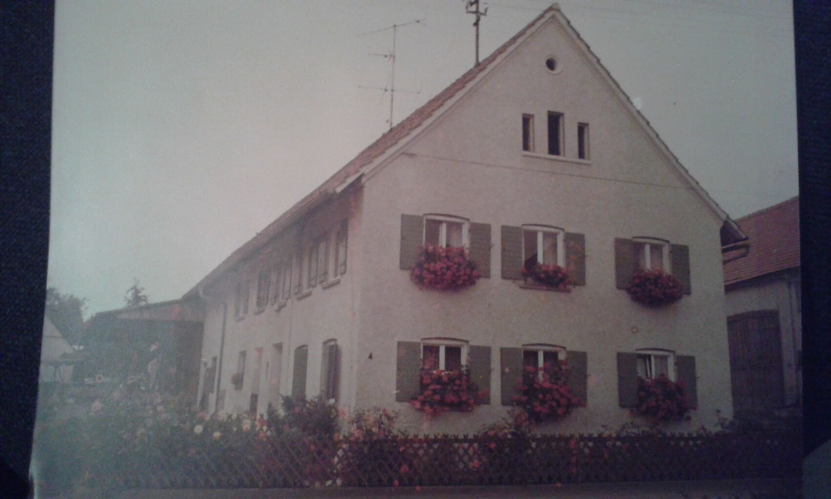 Exterior view of an old building with gray facade, shutters and flower boxes.
