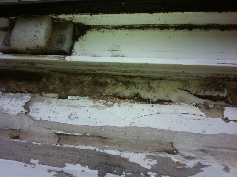 Window frame and windowsill with mold, dirt, and peeling paint.