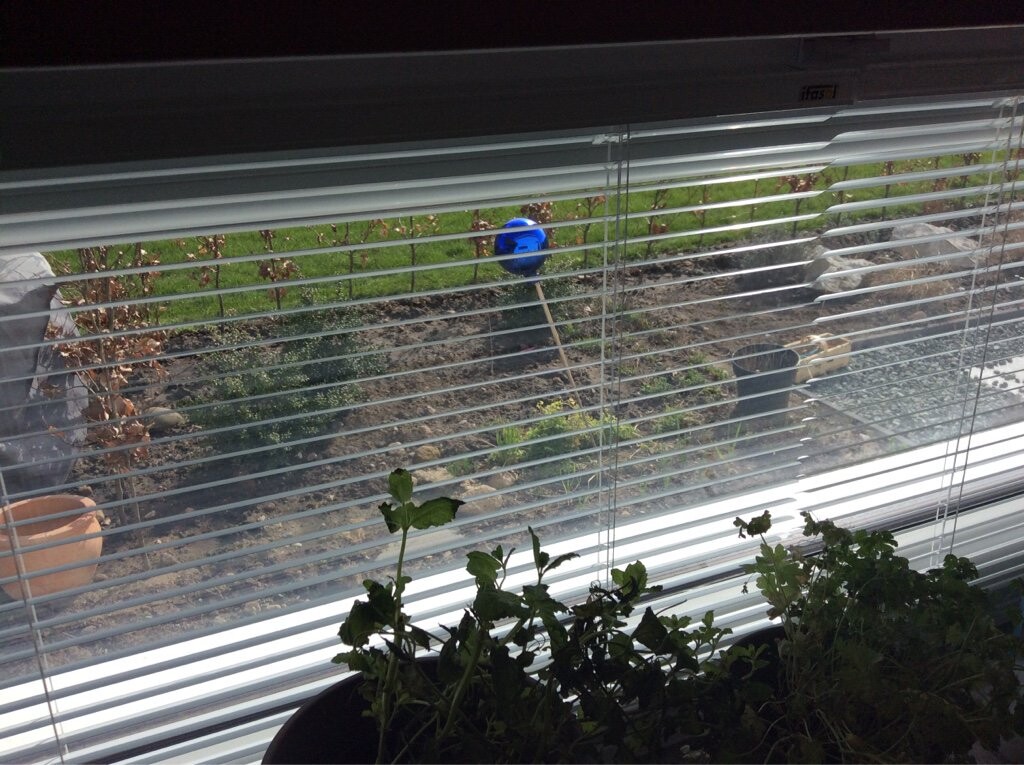 Window with horizontal shutters; view outside to construction site with soil, stones, and plant pots.