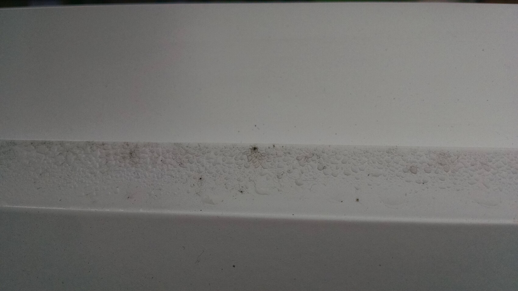 White wall with moisture marks and mold at the lower edge