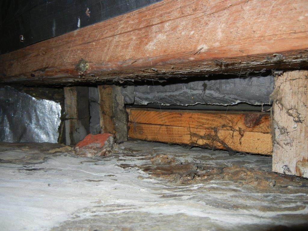 Feuchter Kellerboden mit Holzbalken, Mauerwerk und feuchten Anzeichen sichtbar