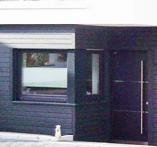 Small light-colored animal in front of dark building facade with window and door.