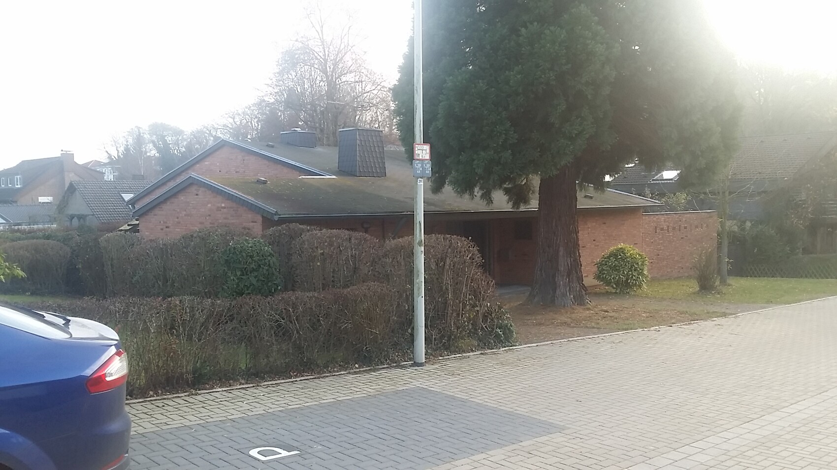 Front view of a detached house with garden, hedges, and tree at the roadside