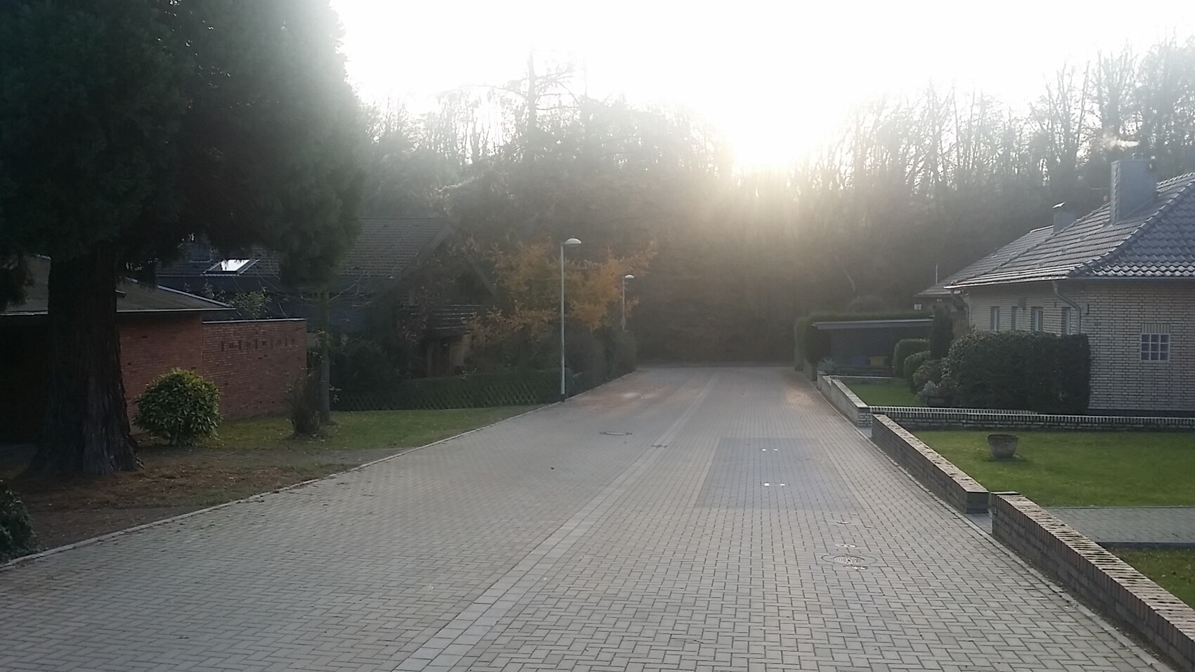 Street view of a quiet residential area with houses, trees, and sunlight.