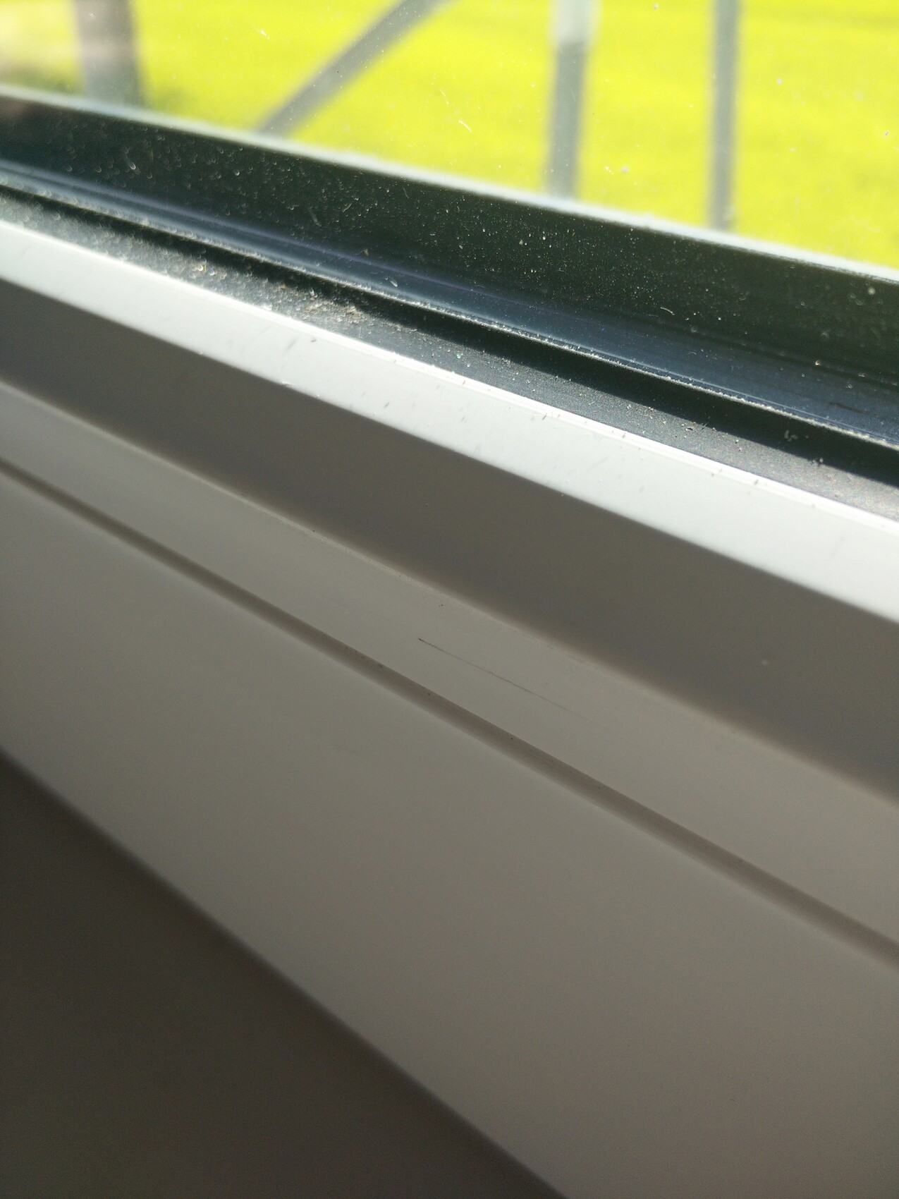 Close-up of a white window frame with dust on the glass pane, view of green grass.