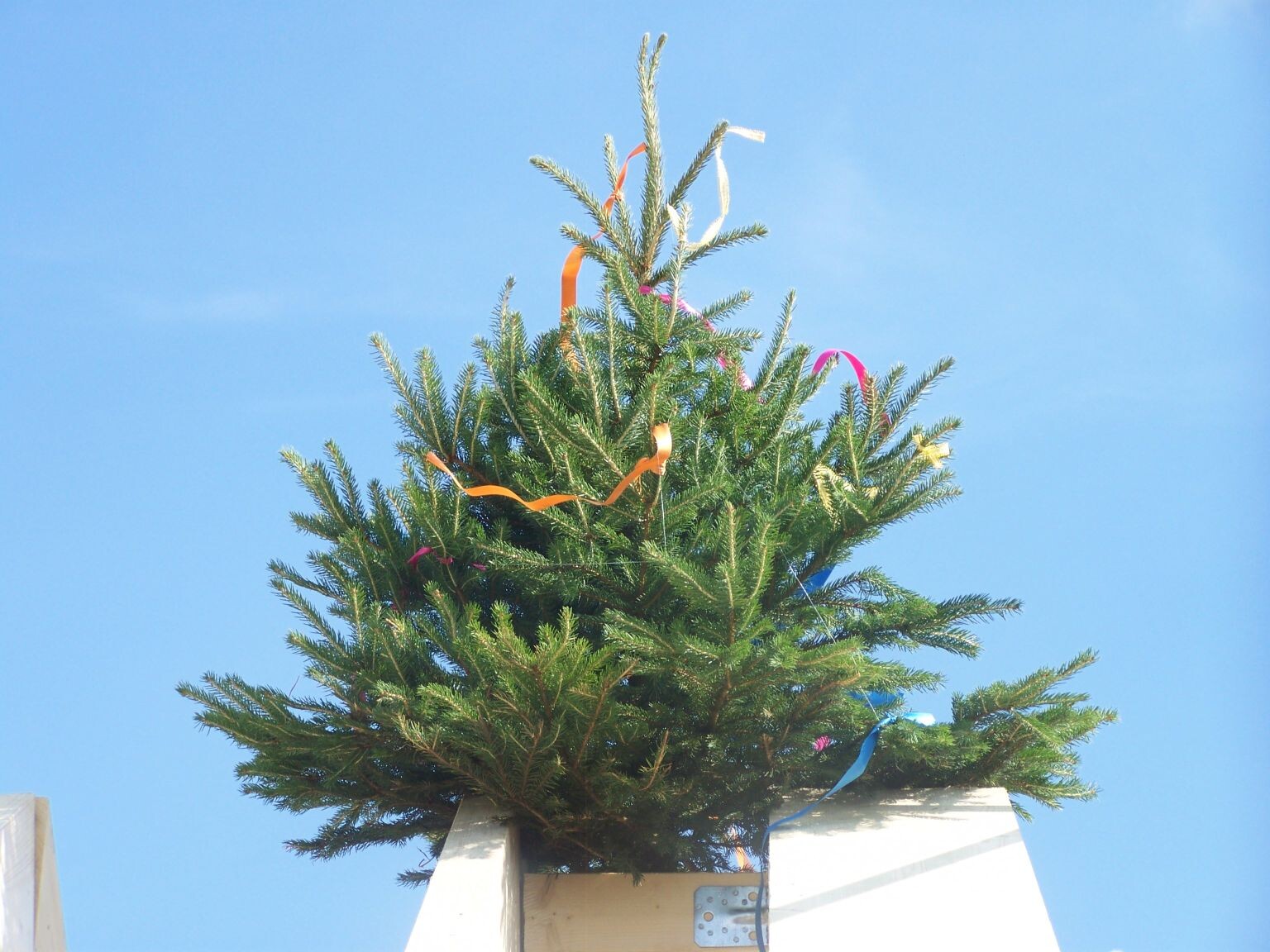 Cheerfully decorated fir tree with colorful ribbons against a blue sky.