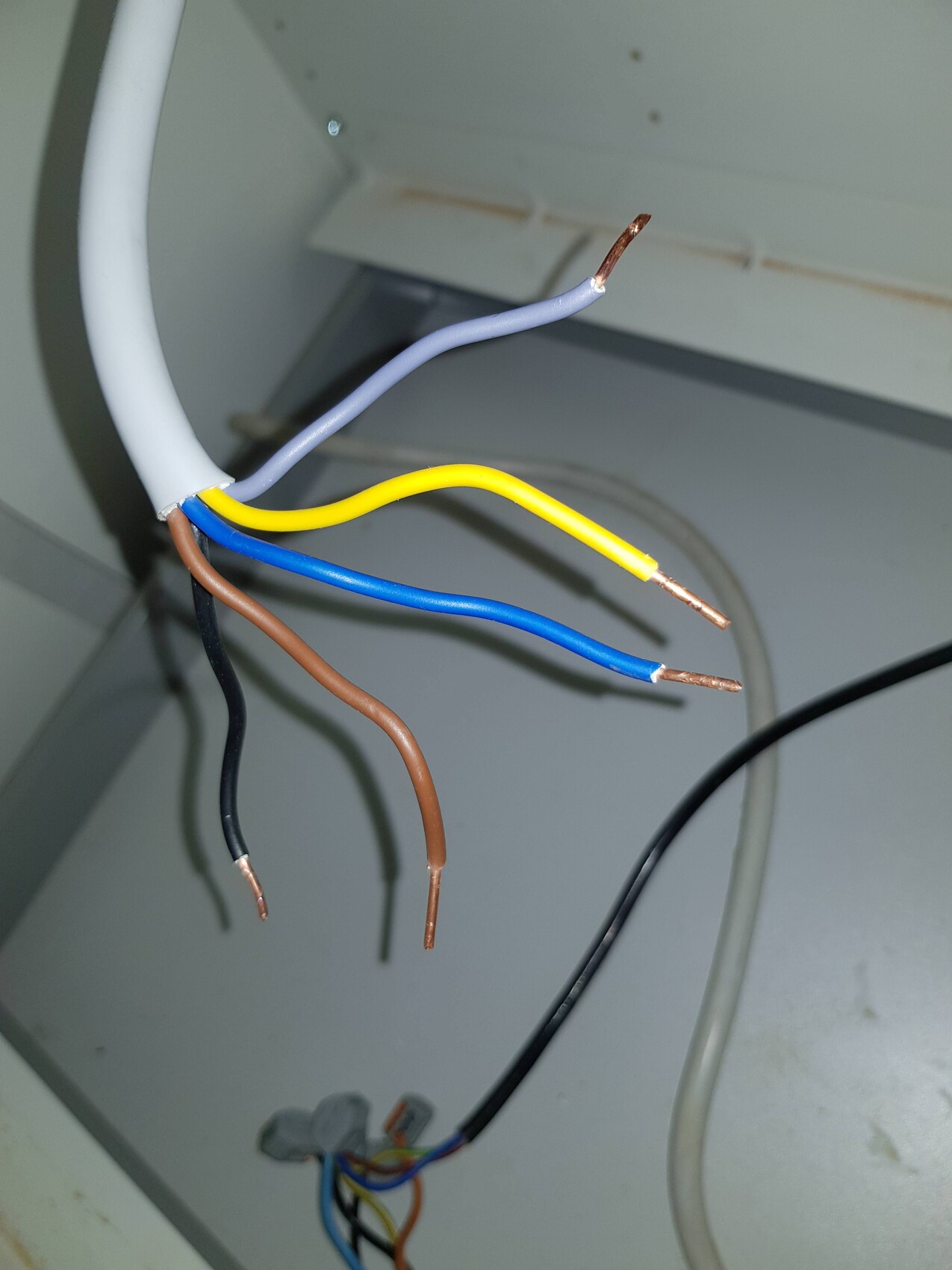 Exposed copper wires of a multi-core cable with yellow, blue, brown, and black conductors.