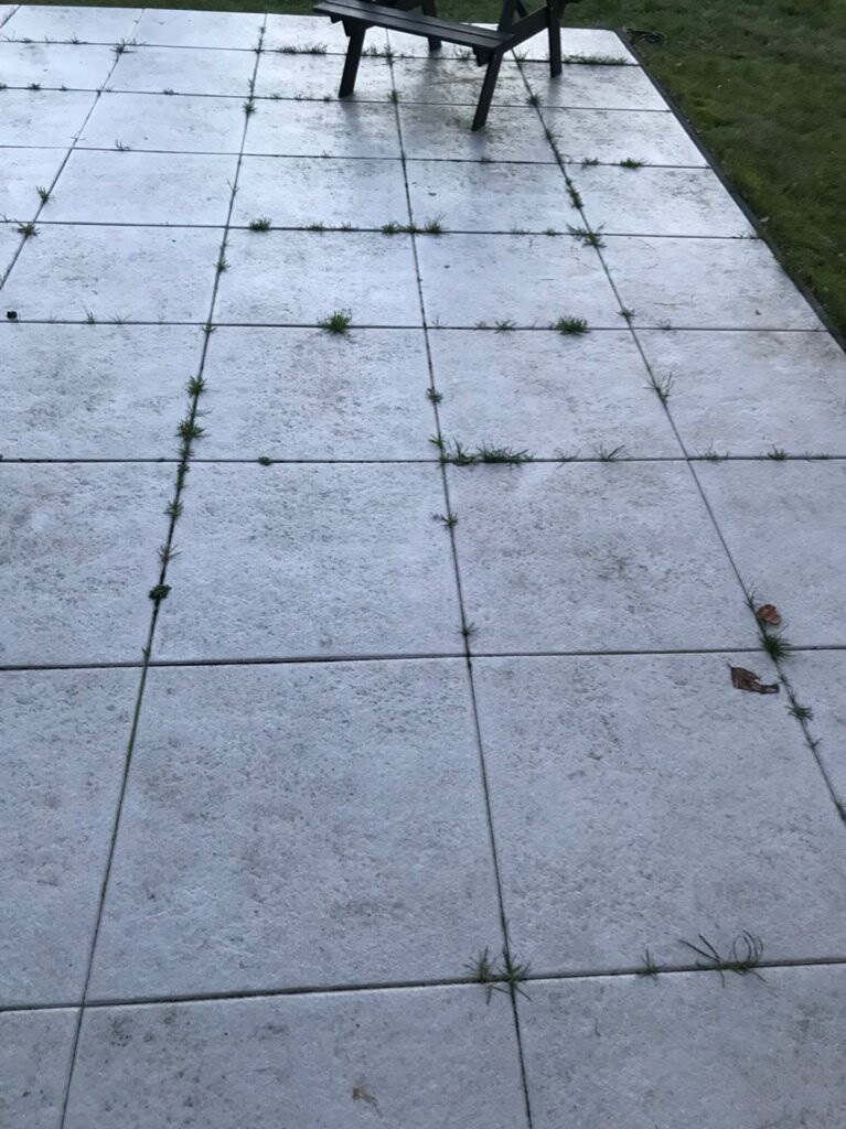 Light gray patio slabs with grass growing between the joints, a bench at the top edge.