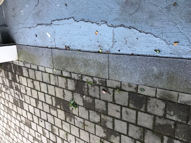 Blue wall with cracks above a gray stone wall; moss and plants growing between the joints.