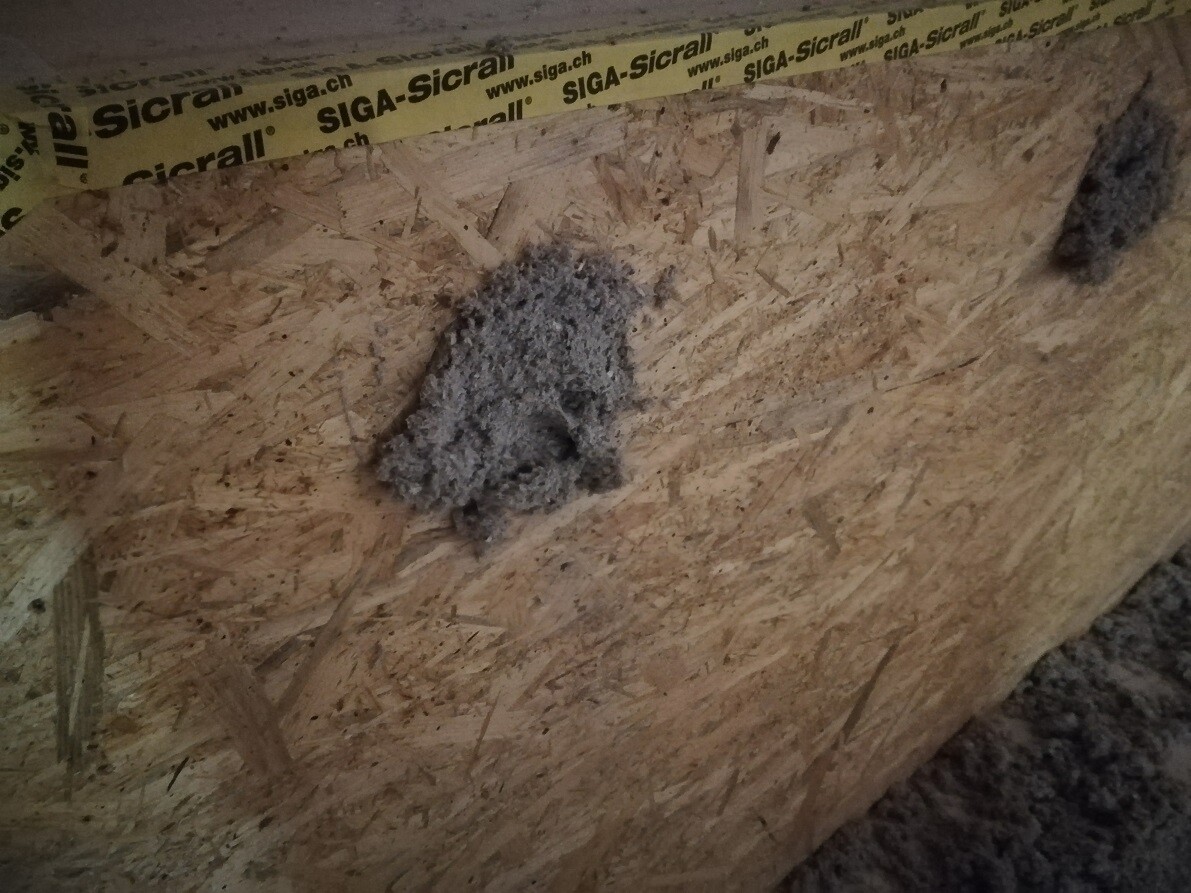 Gray cement or mortar lump on OSB wood panel next to yellow construction tape.