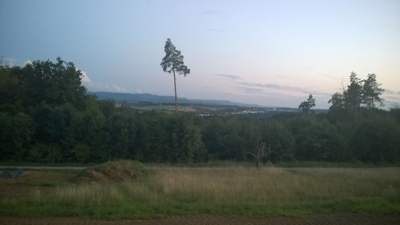Landschaft mit Wald, einzelne hohe Kiefer, Wiese und Dorf am Horizont bei Tageslicht