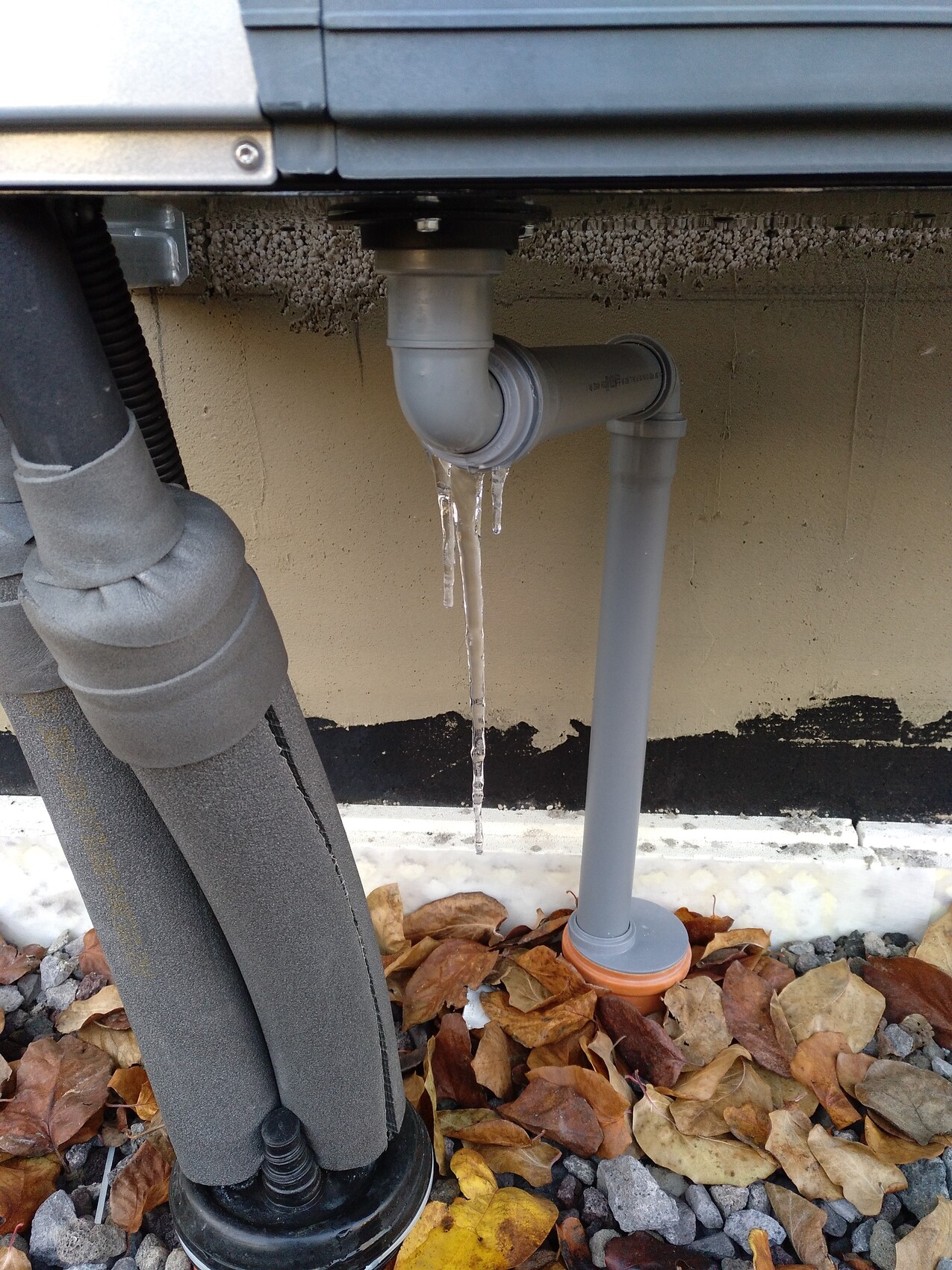Outdoor PVC drain with siphon, icicles hanging on the pipe; autumn leaves on the ground.