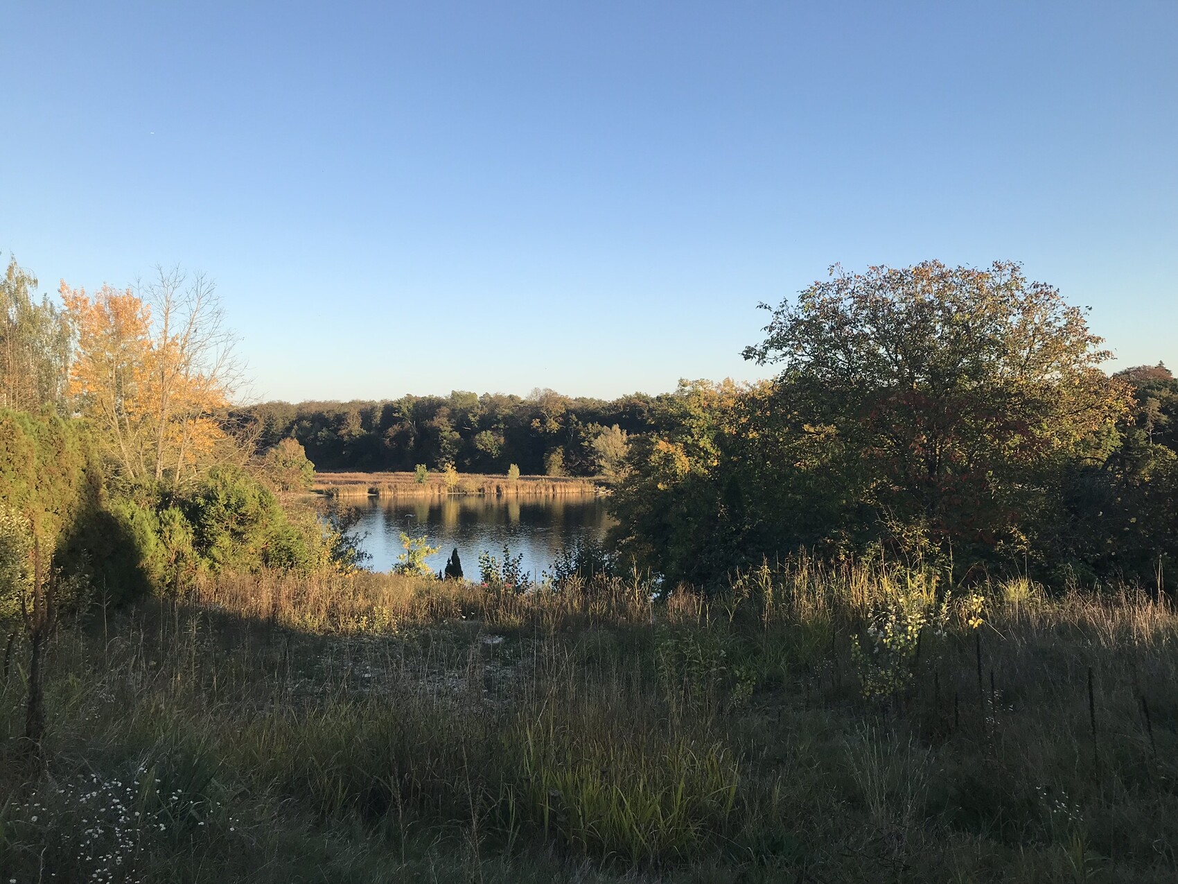 Autumnal landscape at a lake with trees and grass in the foreground