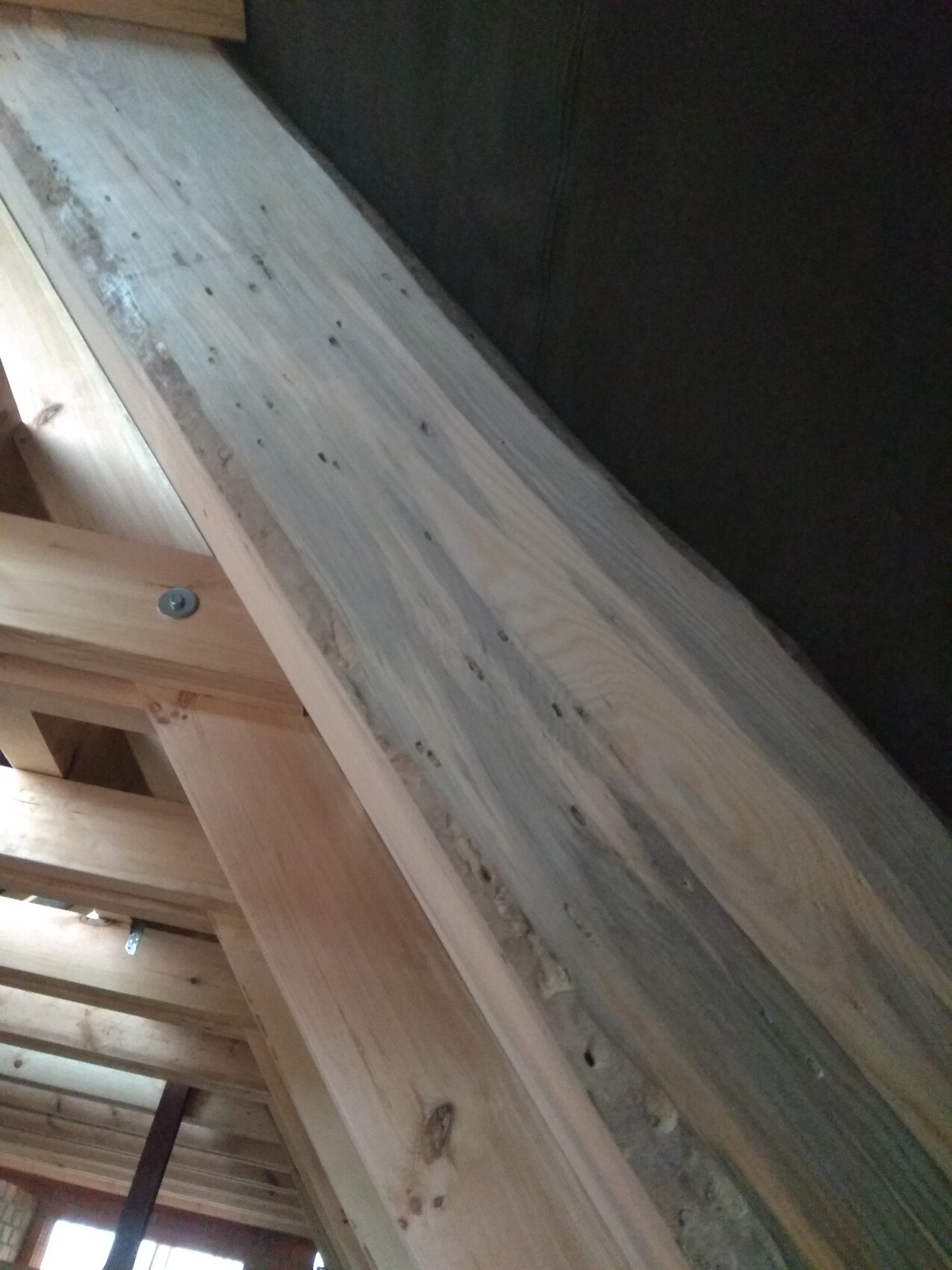 Holzrahmenbau: Blick auf Balkenwerk und Dachkonstruktion im Rohbau
