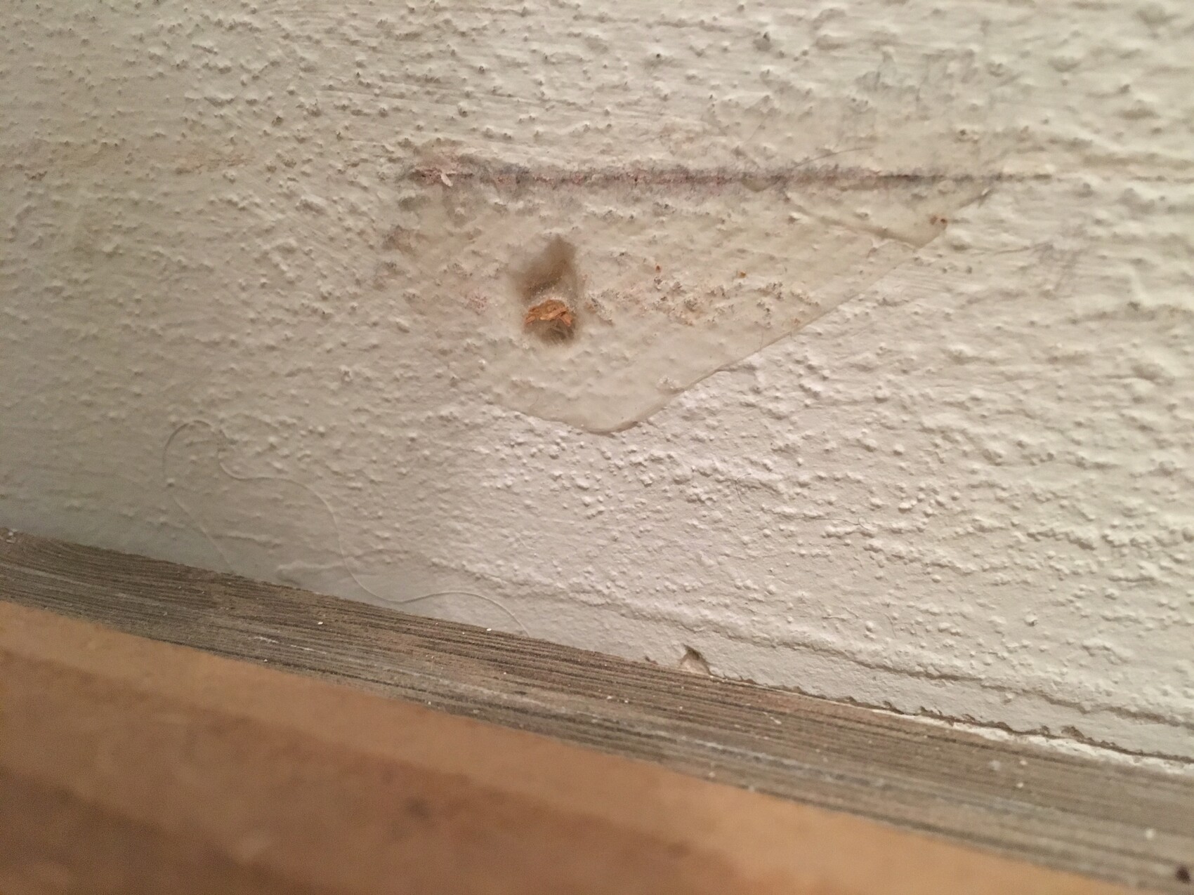 White, roughly textured wall with a small brown hole; below it, wooden flooring.