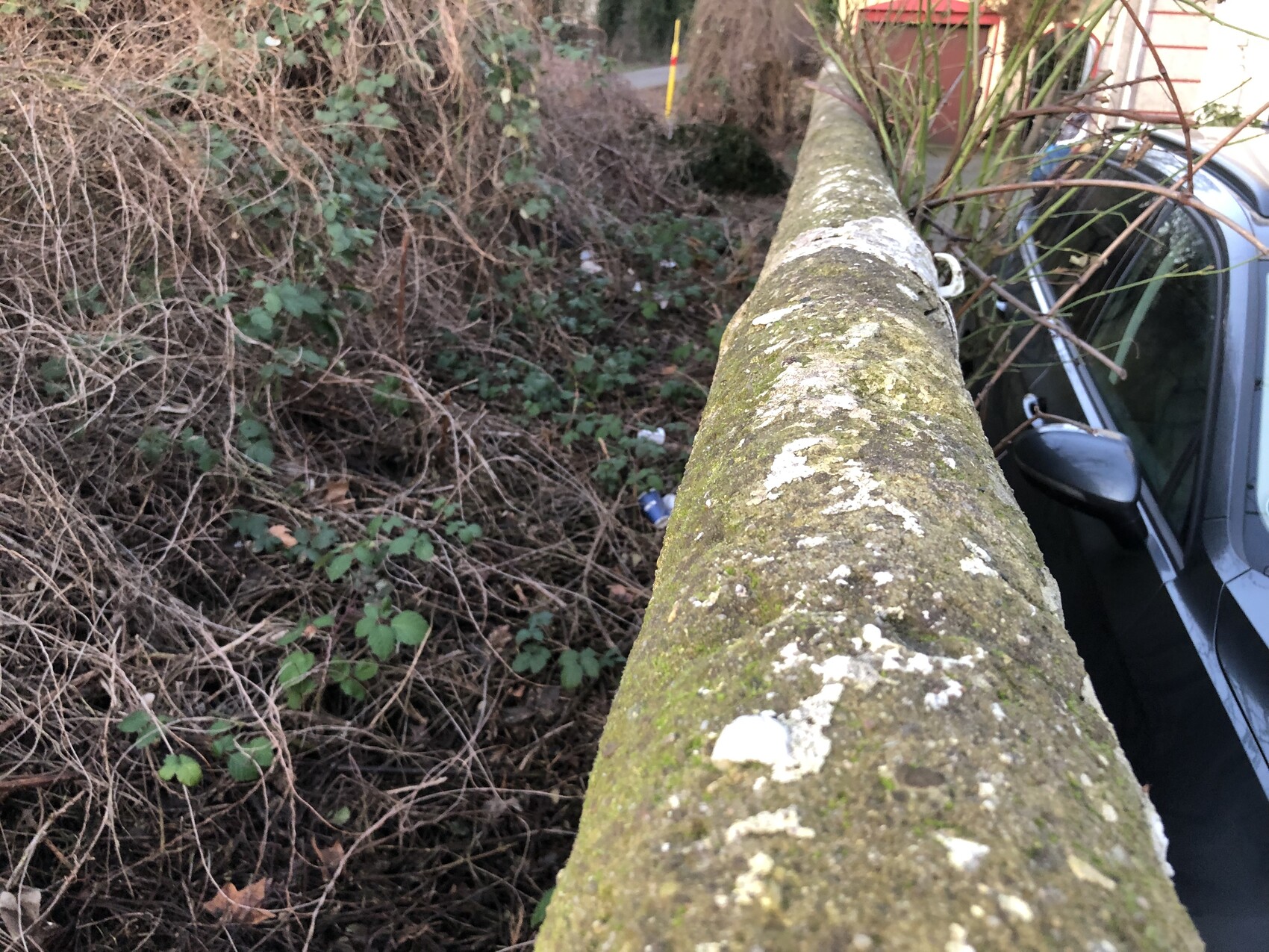 Moosbedeckte Betonbrüstung im Vordergrund; rechts geparktes Auto, links dichtes Gebüsch.