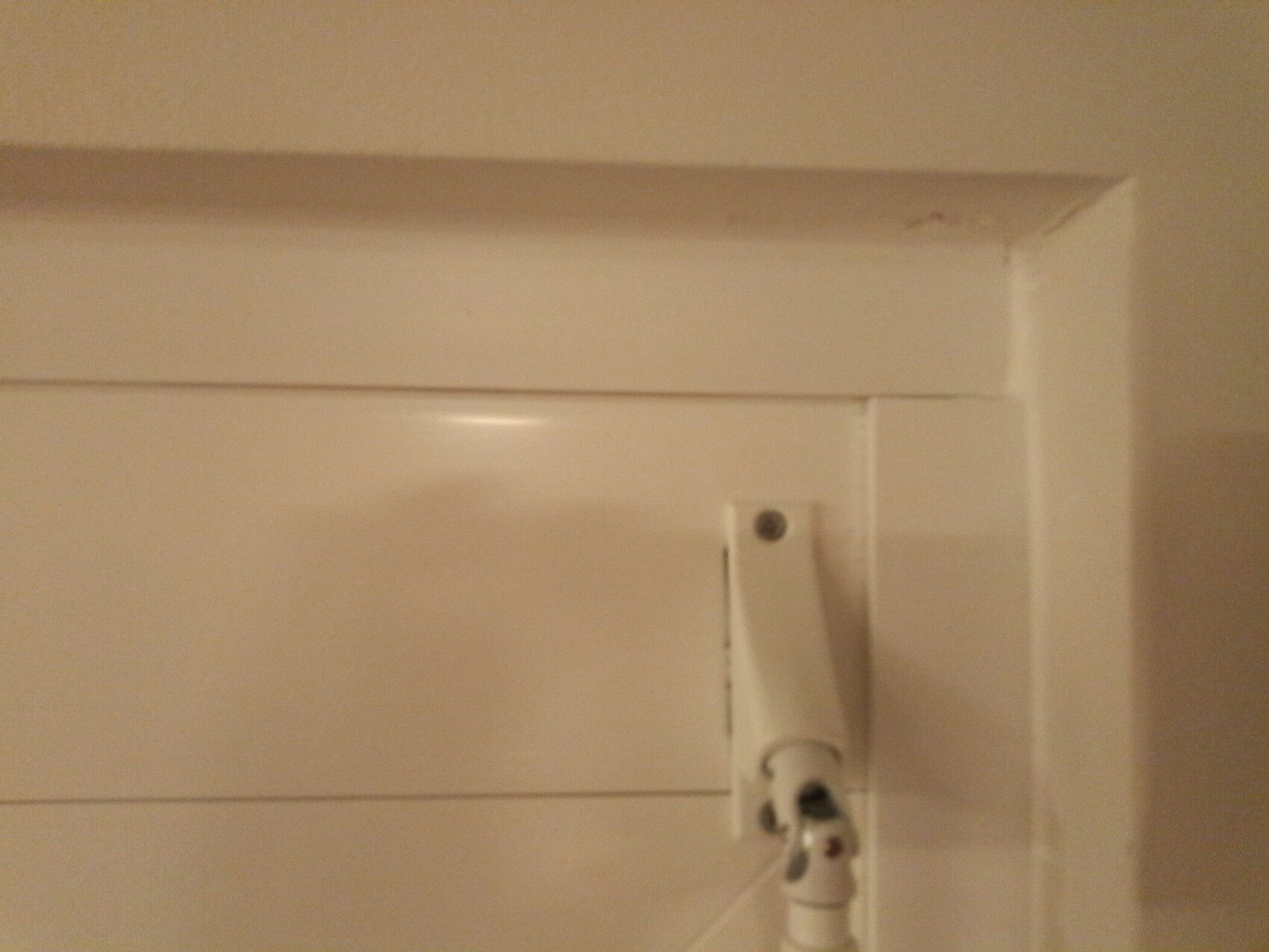 Close-up of a white interior door with visible door hinge mounted on the edge.