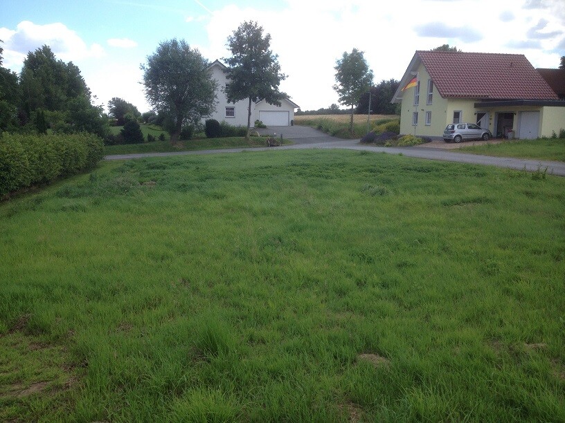 Green plot with houses, driveway and open lawn area in rural setting.