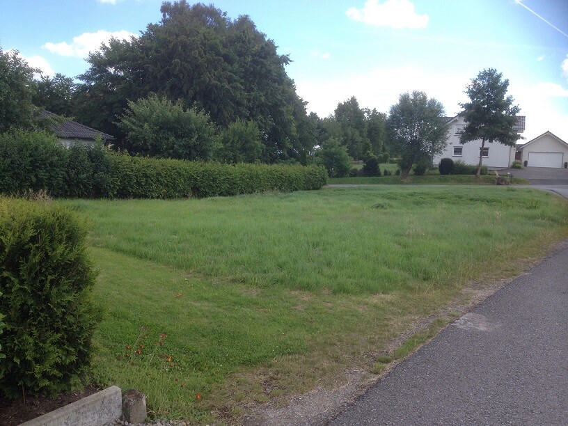 Green front yard with hedges, trees, and street in front of houses.